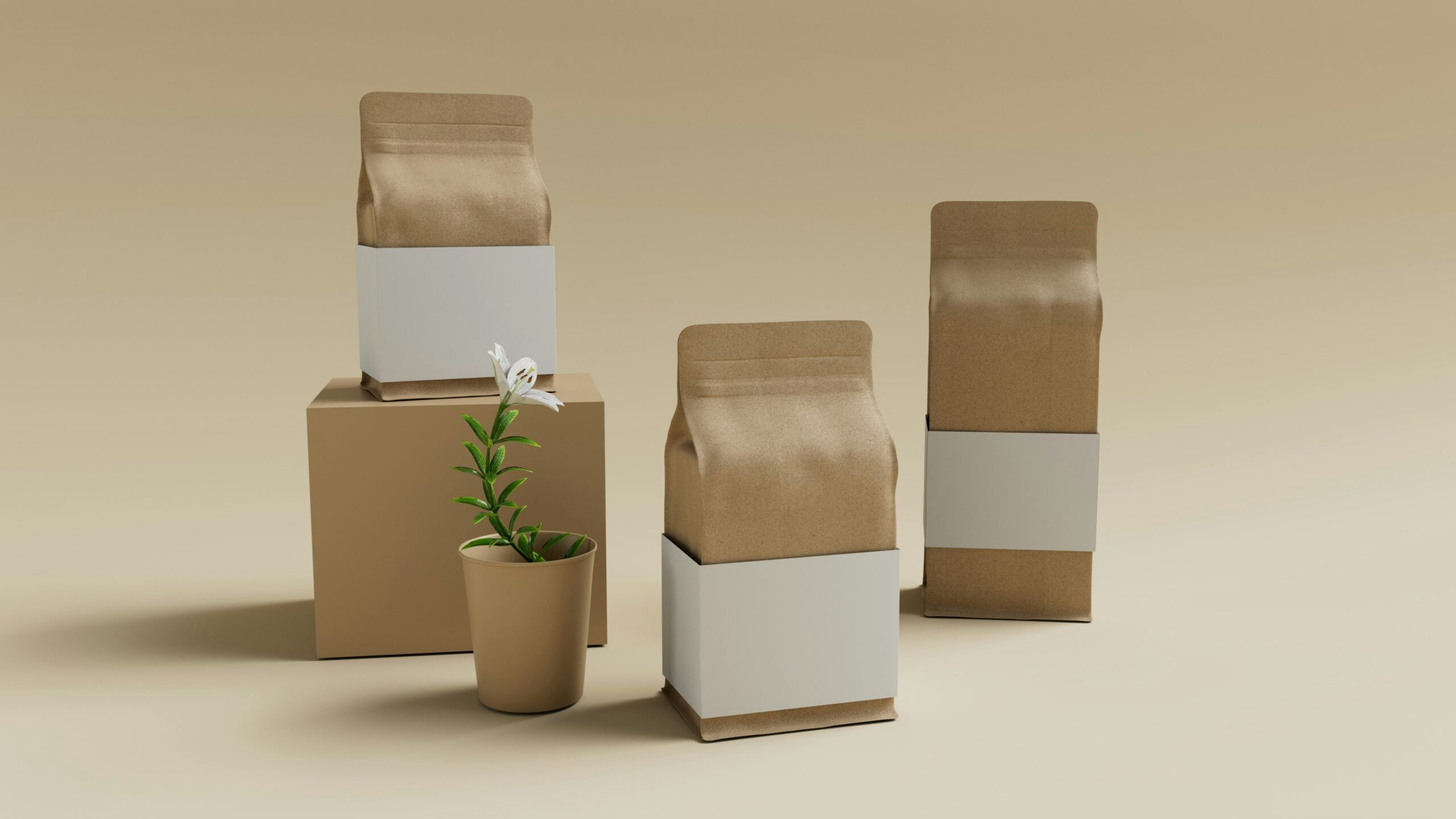 Subscription Boxes